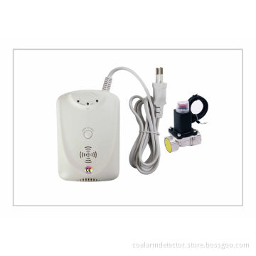 Portable Shut Off Valve Co Alarm Detector , Carbon Monoxide Monitor